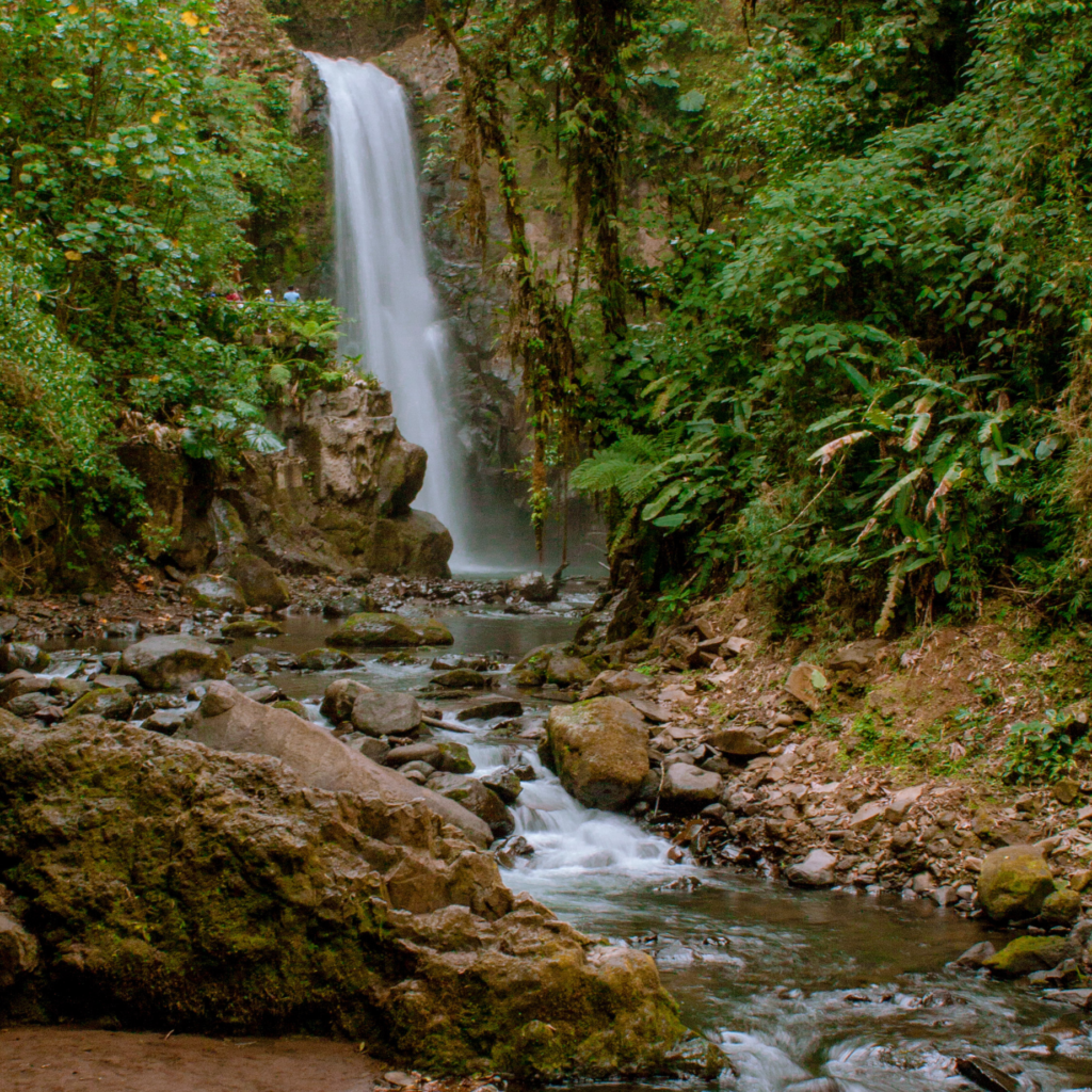La Paz Waterfall Gardens (14)